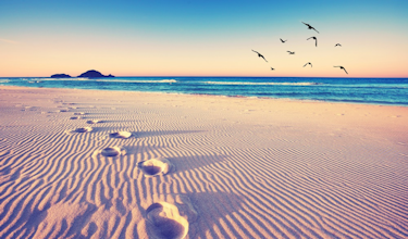 illustratie fysiopensioen strand